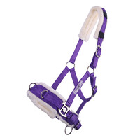 QHP lunging cavesson Passion Flower Purple Pony