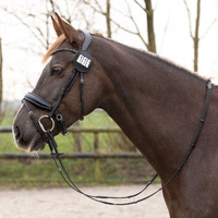 QHP Modeste Individual Round Bridle/saddle pad Number Holder - Black