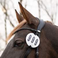 QHP Prim Basic Bridle Number Holder (Pair)