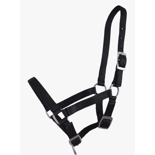 QHP Shetland foal head collar/halter/headstall 