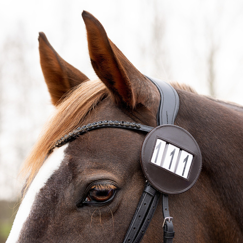 QHP Modeste Individual Round Bridle/saddle pad Number Holder - Brown 