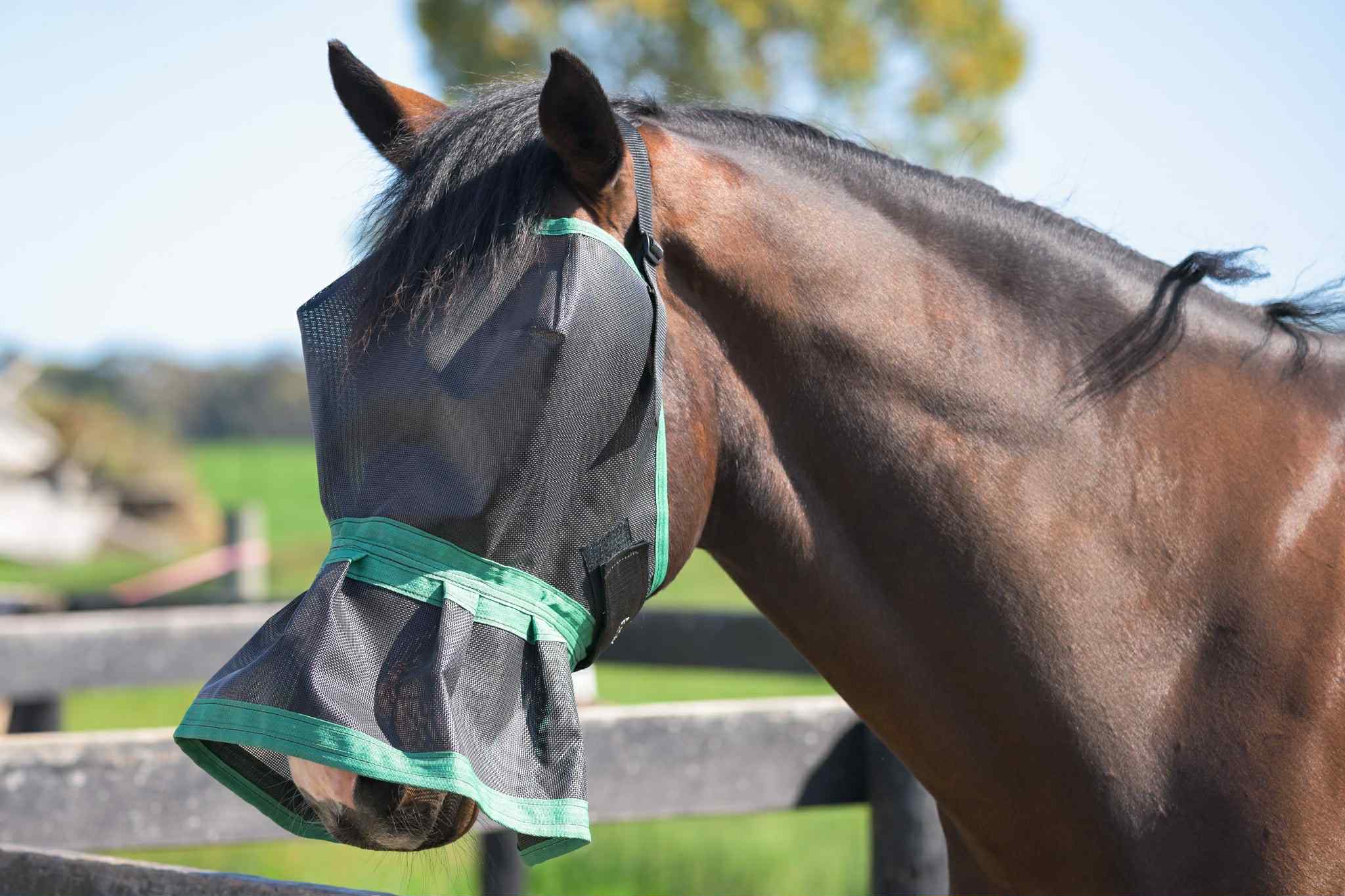 Ecotak Fly Mask/Veil with nose skirt/frill - Emerald Green