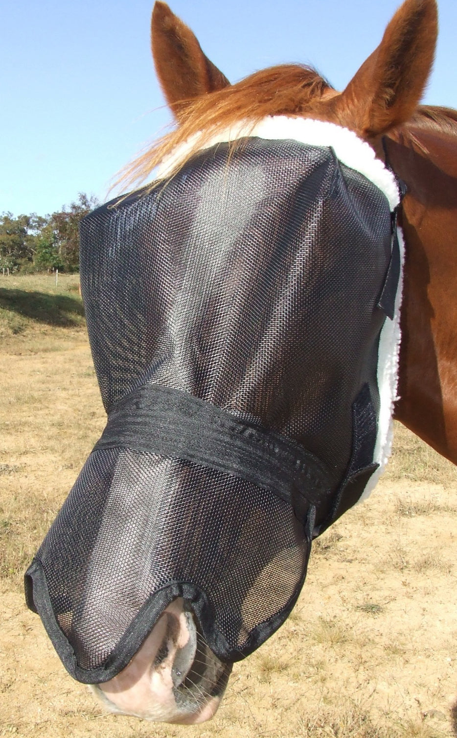 Ecotak Deluxe Fleece Fly Mask with contoured noseflap