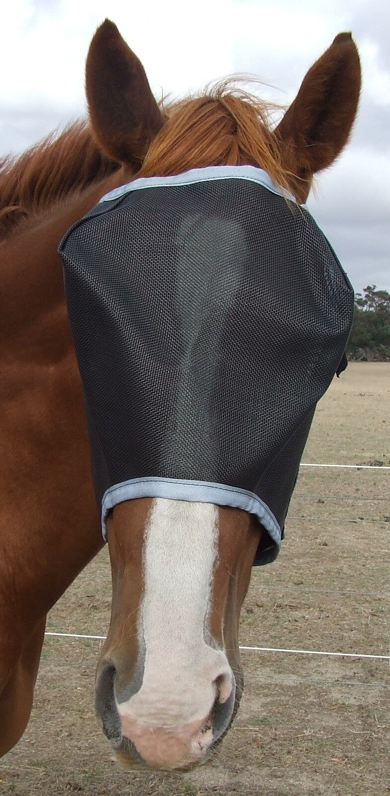 Ecotak Black Fly Mask/Veil with Grey Trim Ecotak