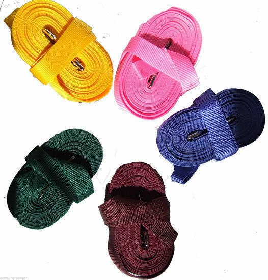 Ecotak Basic Lunge Rein 8m.   Ecotak