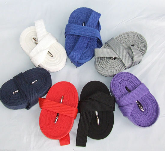 Ecotak Basic Lunge Rein 8m.   Ecotak