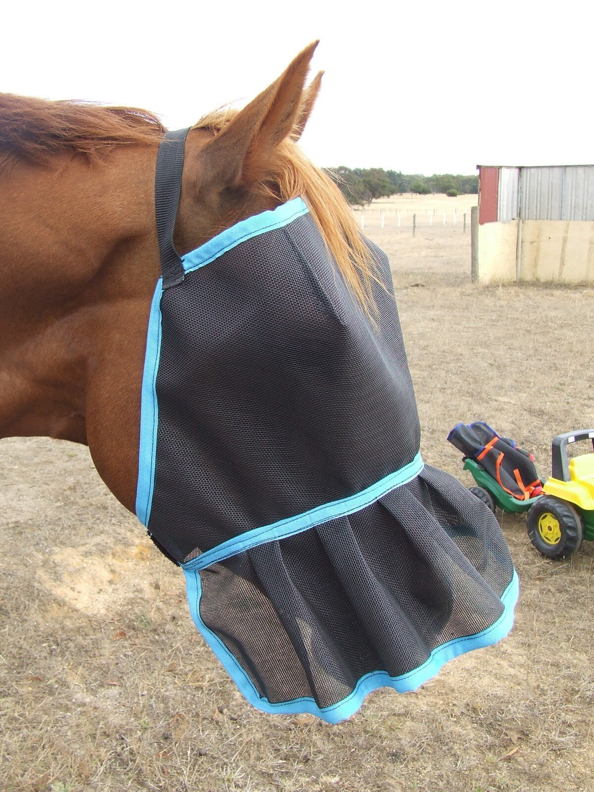 Ecotak Fly Mask/veil with Nose Skirt/frill - Aqua Trim Ecotak