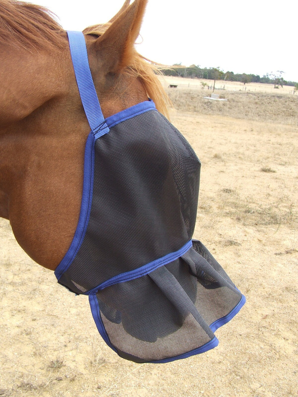 Ecotak fly Mask/Veil with Nose Skirt Frill Ecotak