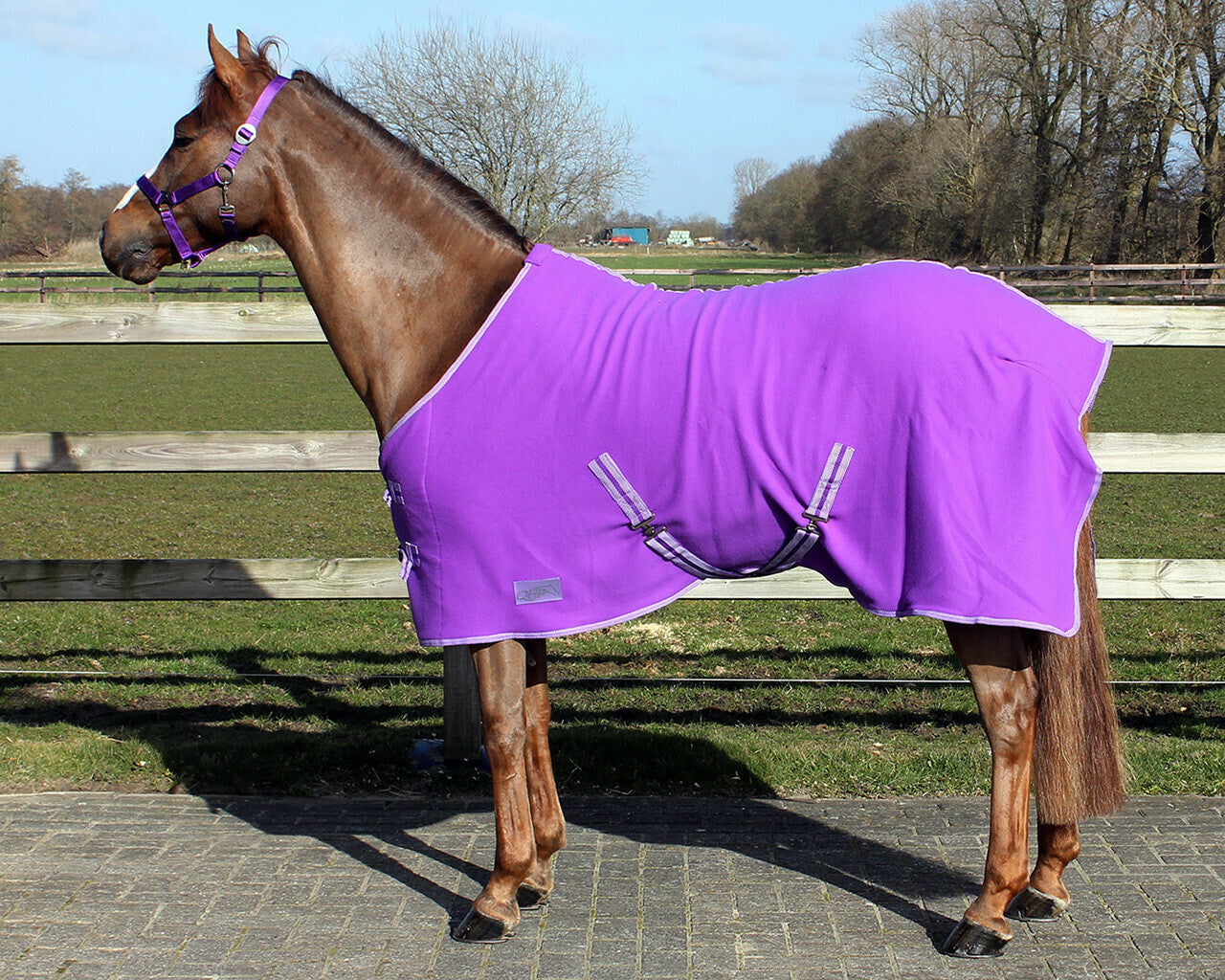 QHP colour fleece rug - Passion flower purple