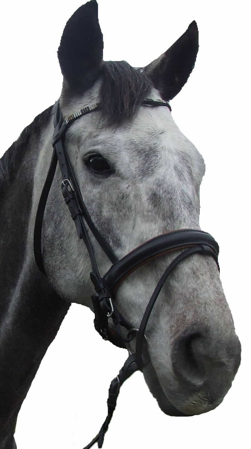 Ecotak Black Hanovarian Bridle with brown padding & U browband