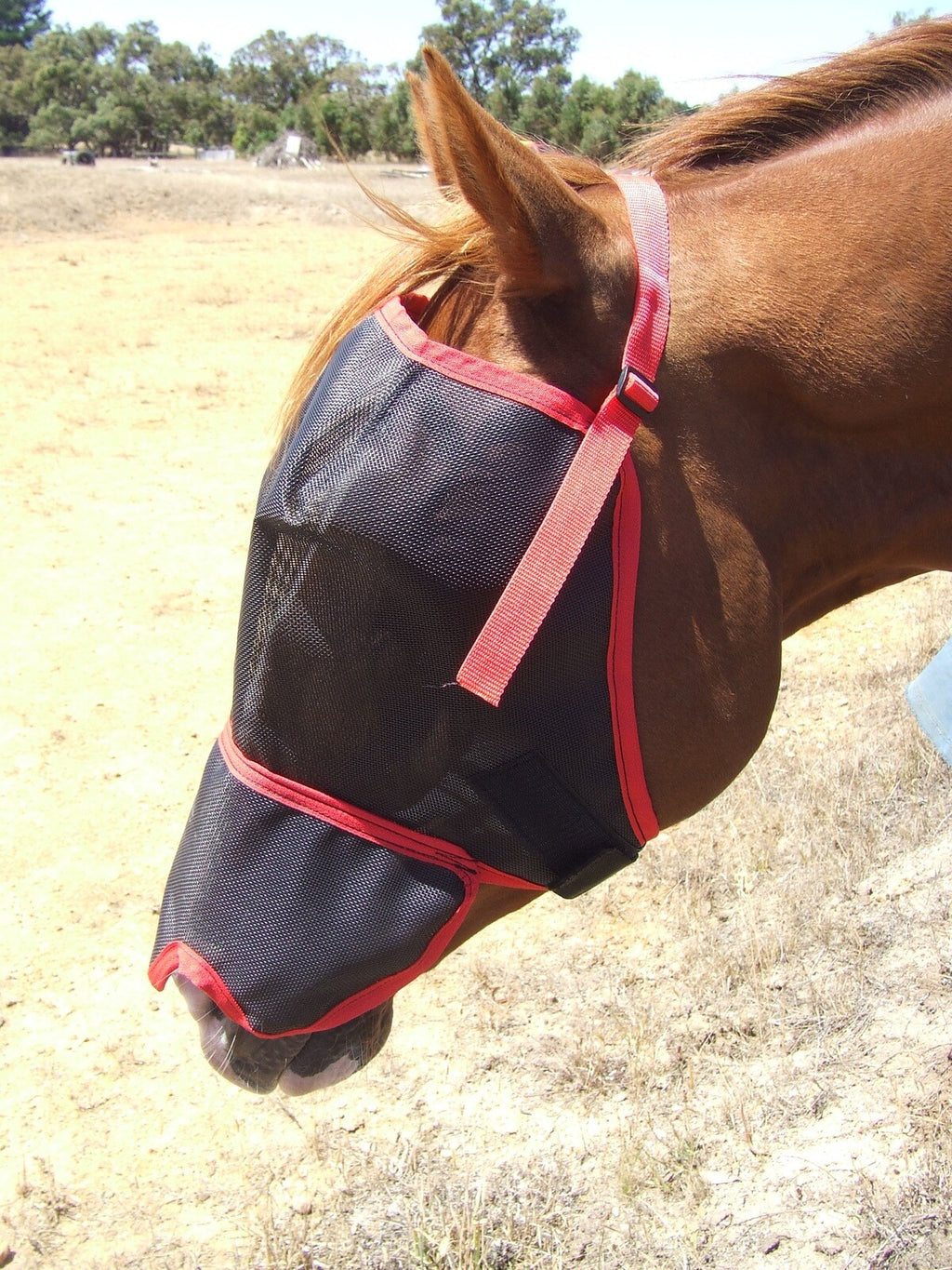 Ecotak Fly Mask/Veil with Contoured Nose Flap Ecotak