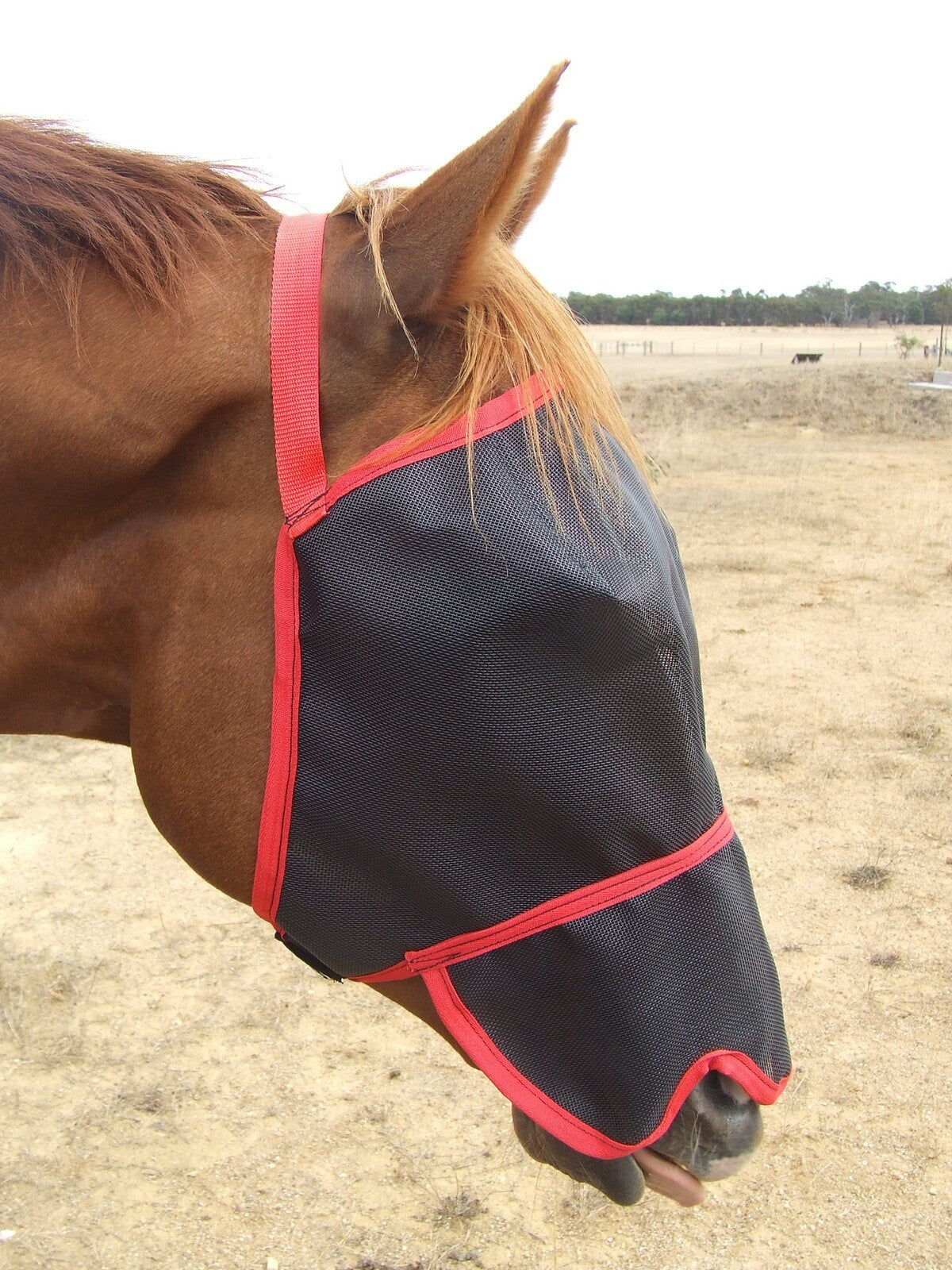 Ecotak fly mask/veil with contoured nose flap - red Ecotak