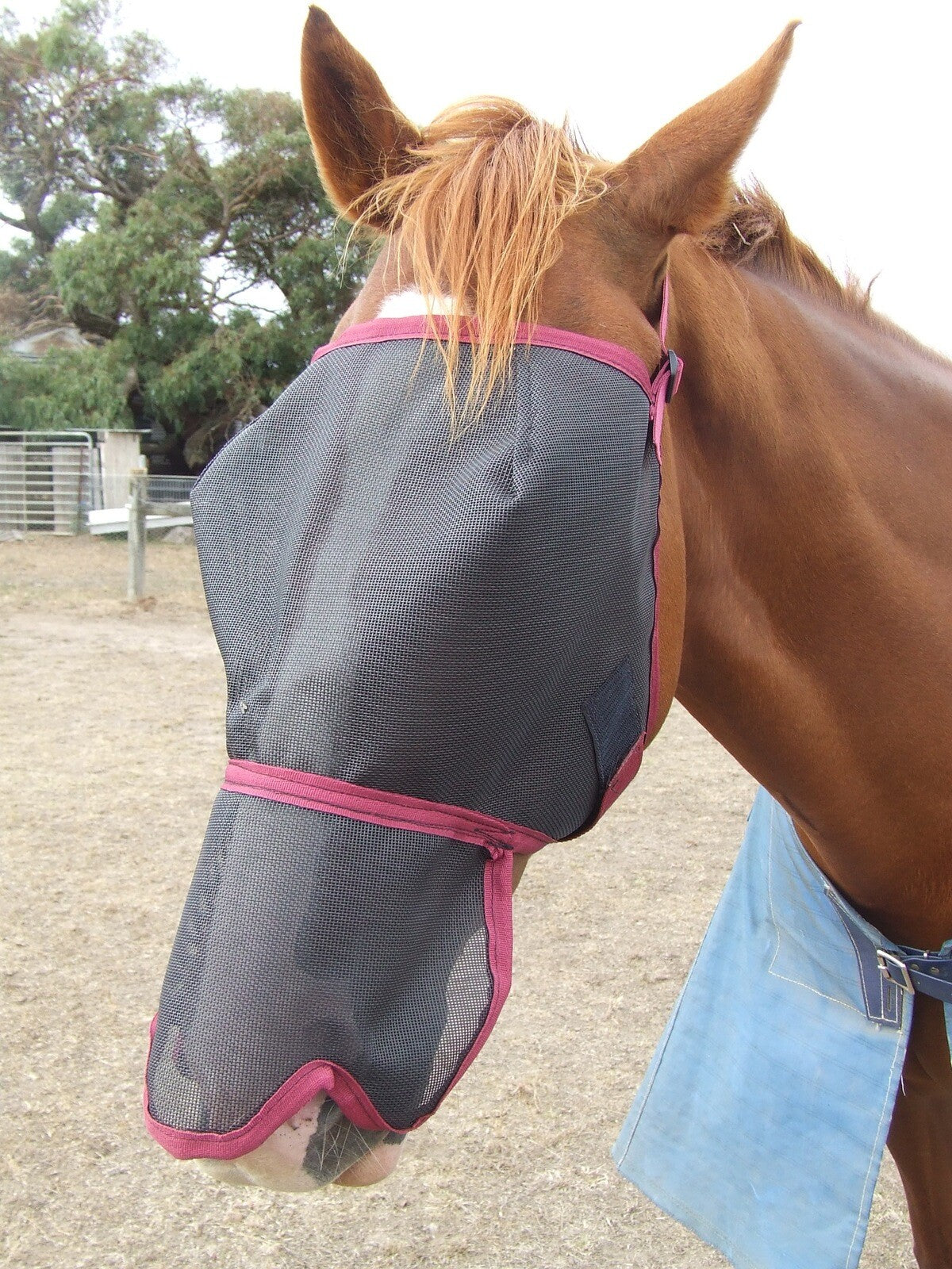Ecotak Fly Mask/Veil with Contoured Nose Flap - Burgundy Ecotak