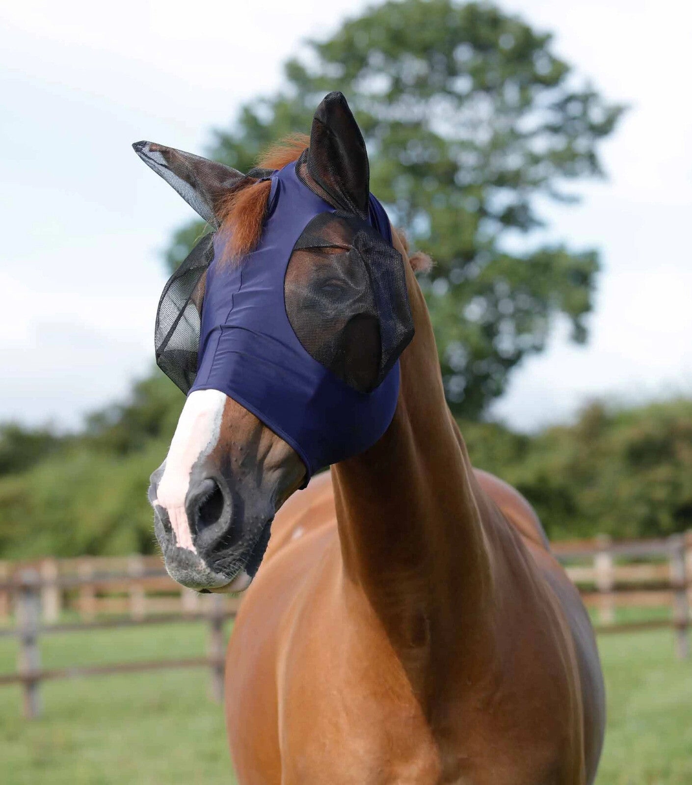 Premier Equine comfort tech Lycra fly mask navy Premier Equine