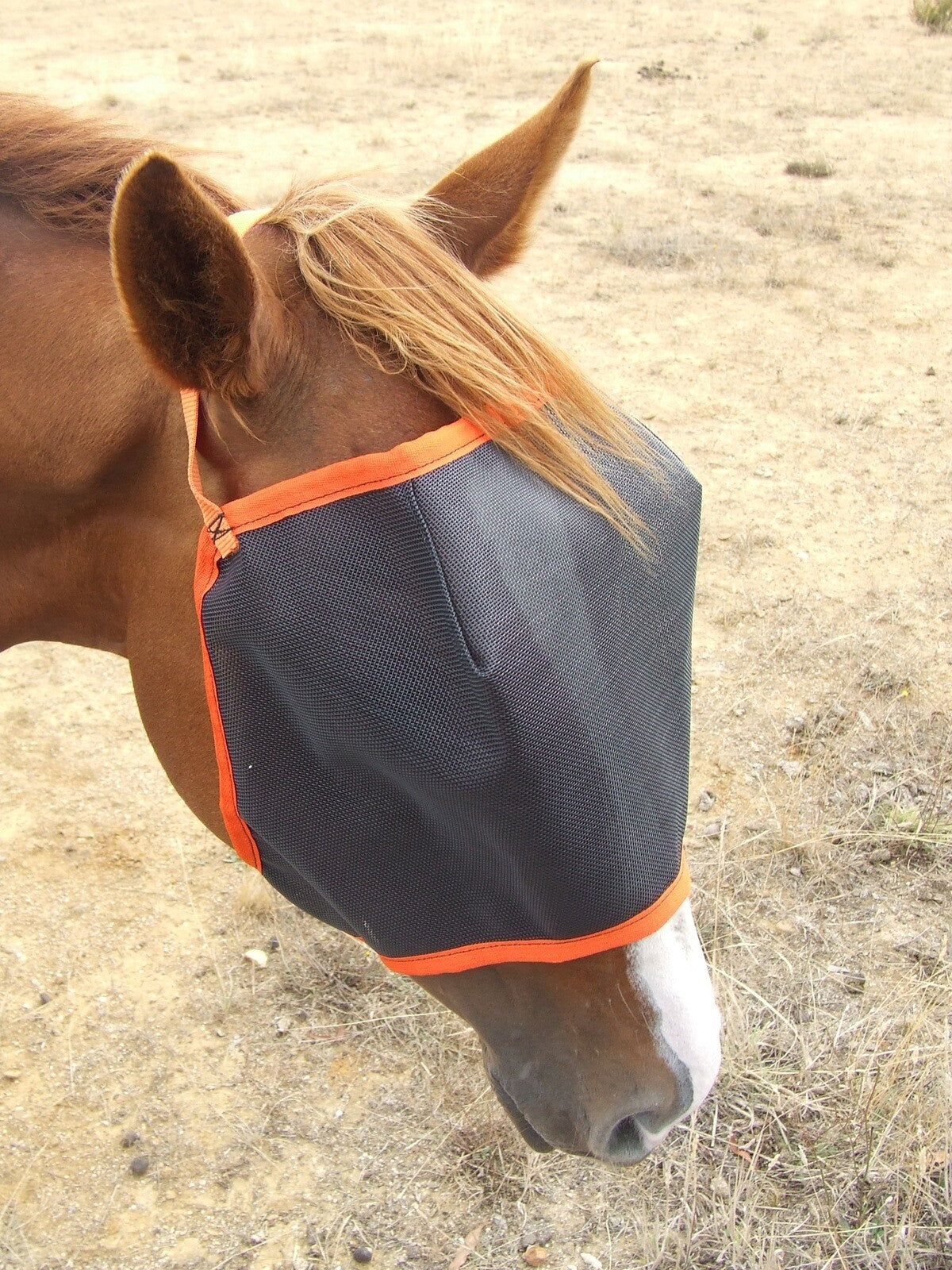 Ecotak Regular Fly Mask/Veil Ecotak