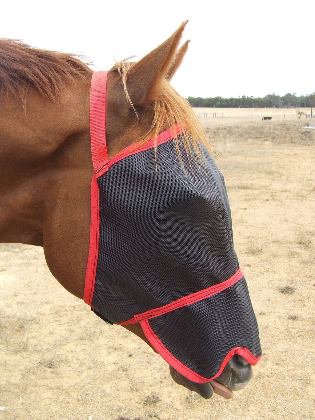 Ecotak Fly Mask/Veil with Contoured Nose Flap Ecotak