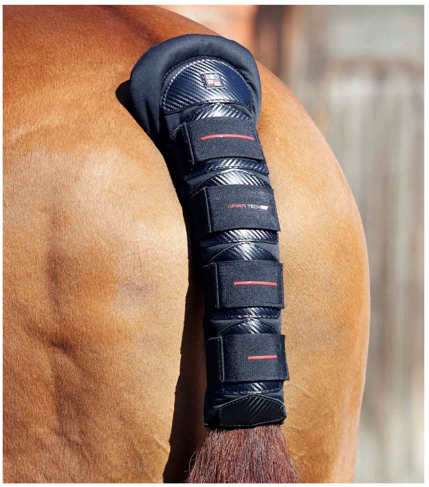 PEI Premier Equine Antislip padded tail guard - Navy Premier Equine