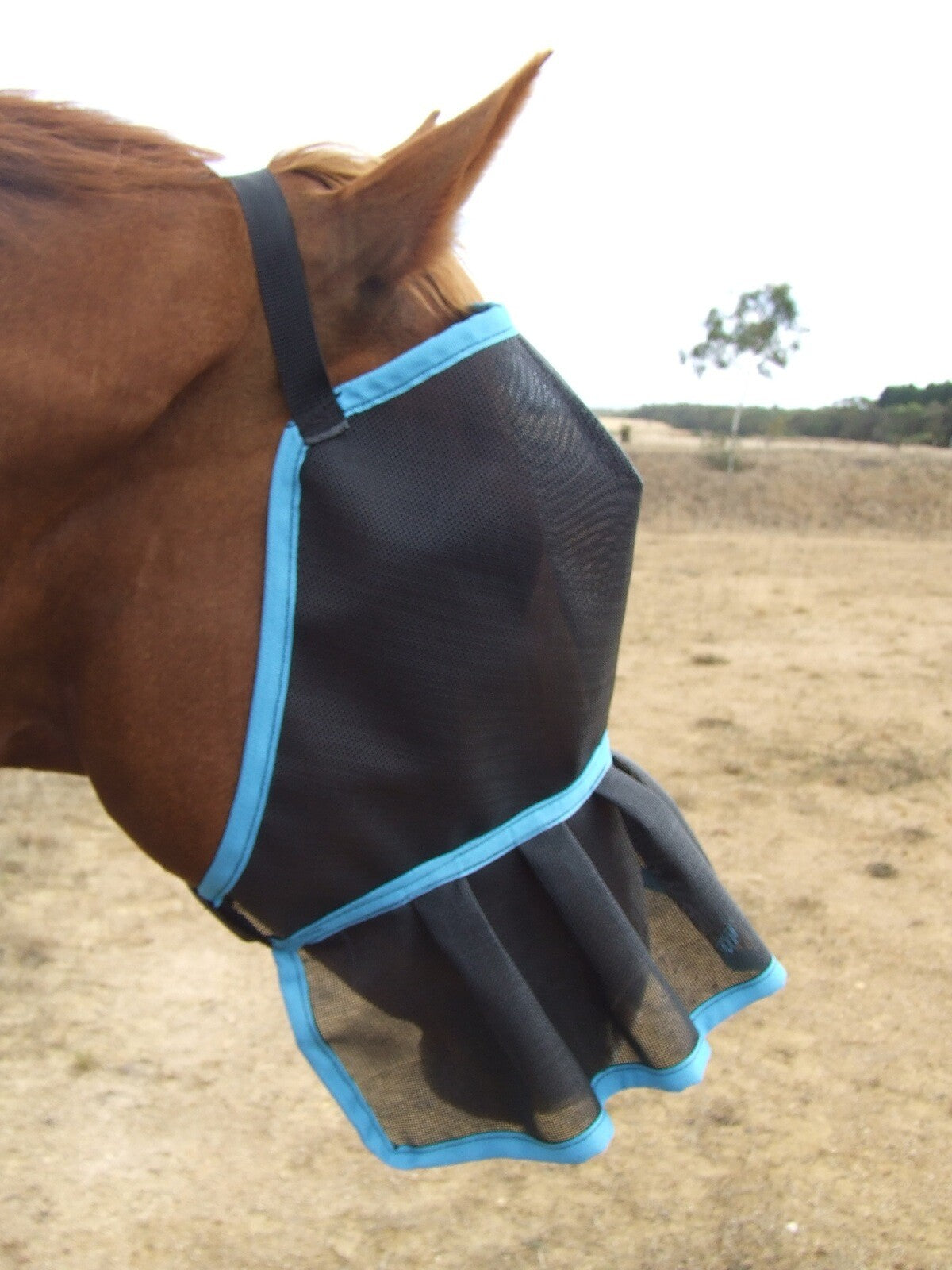 Ecotak fly Mask/Veil with Nose Skirt Frill Ecotak
