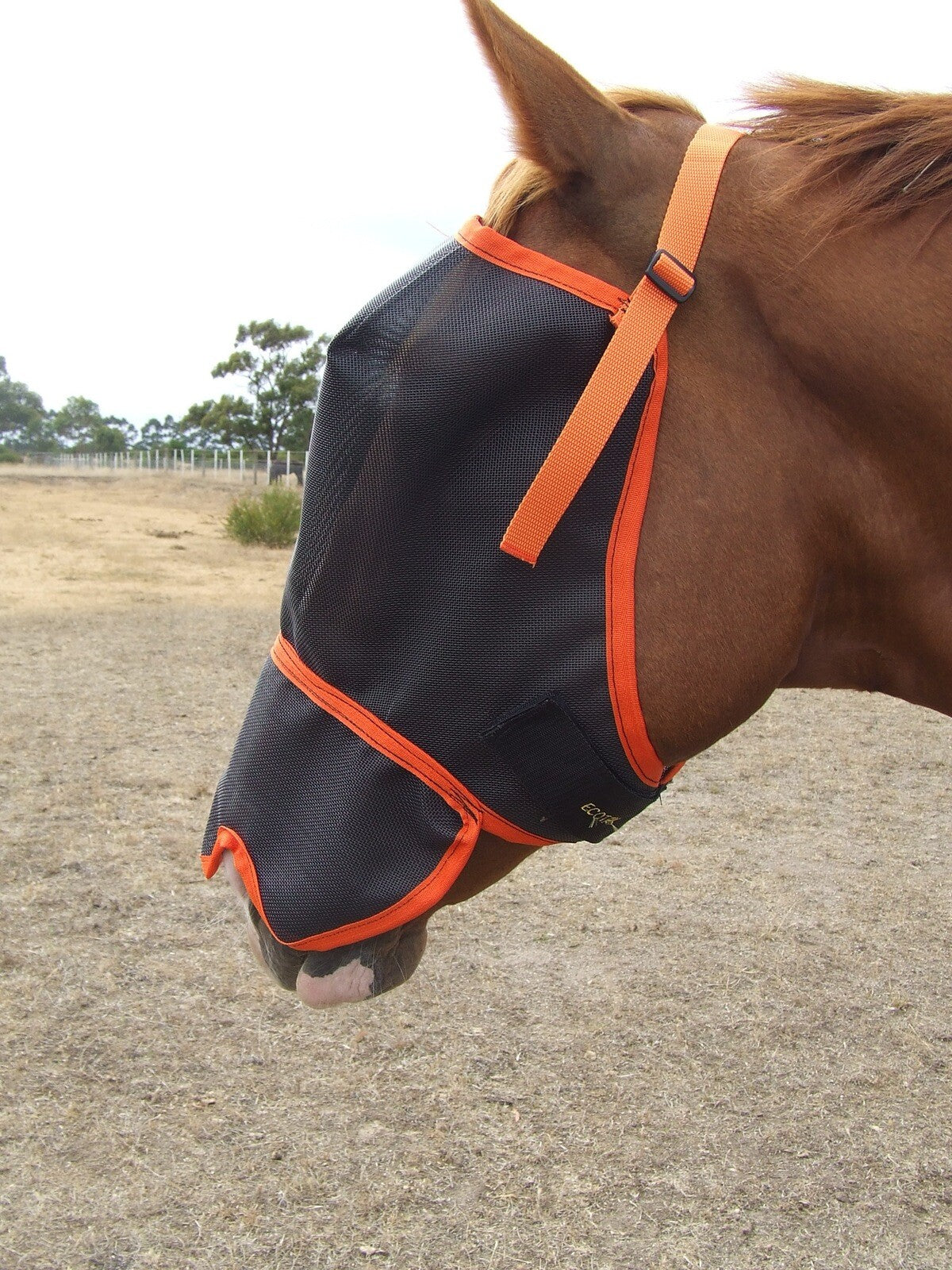 Ecotak Fly Mask/Veil with Contoured Nose Flap Ecotak