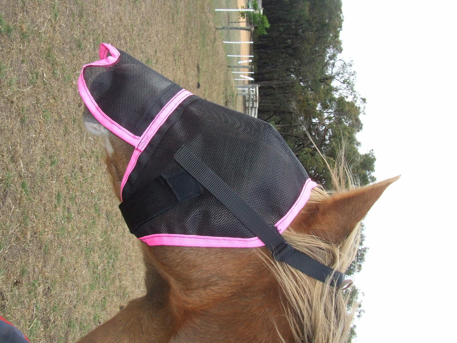 Ecotak Fly Mask/Veil with Contoured Nose Flap Ecotak