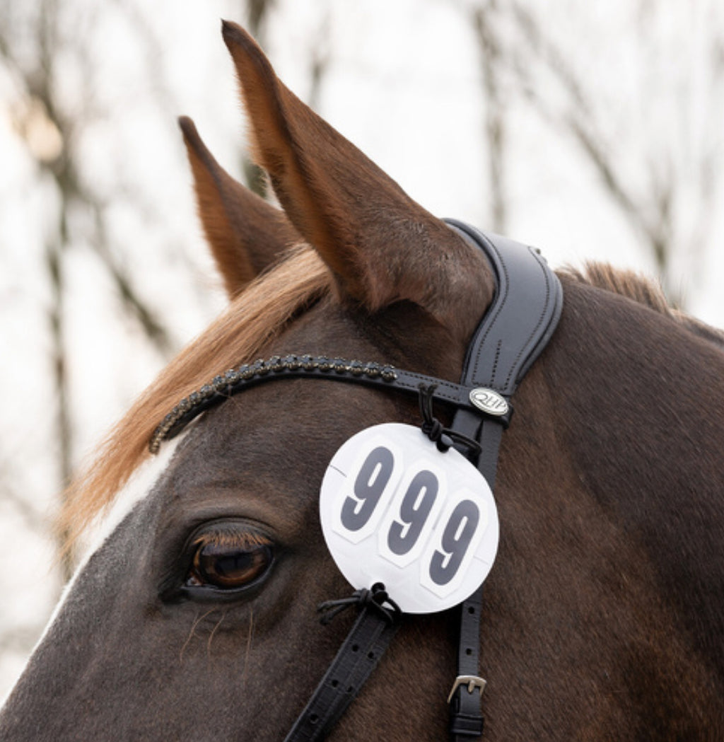 QHP Prim Basic Bridle Number Holder (Pair)