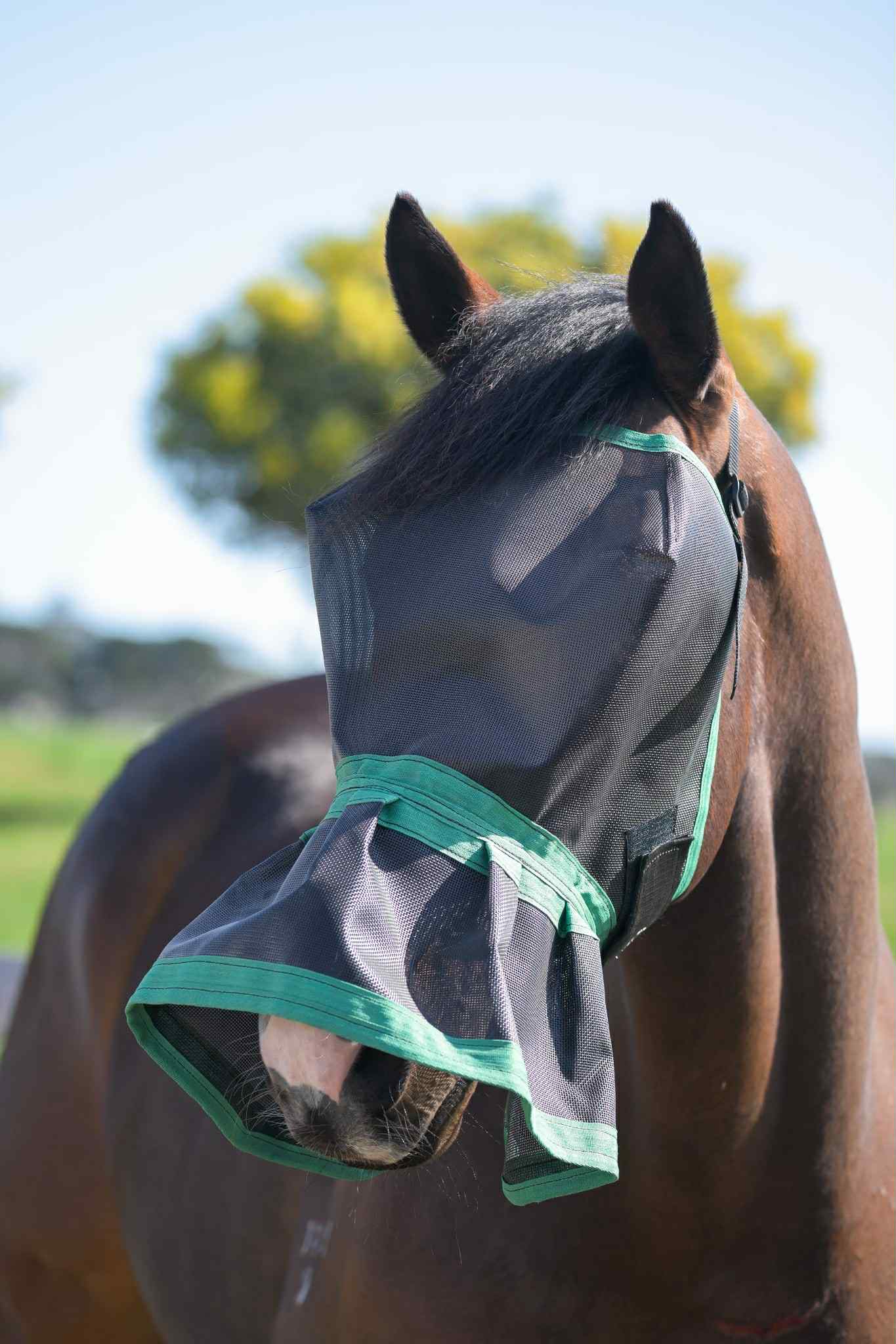 Ecotak Fly Mask/Veil with nose skirt/frill - Emerald Green