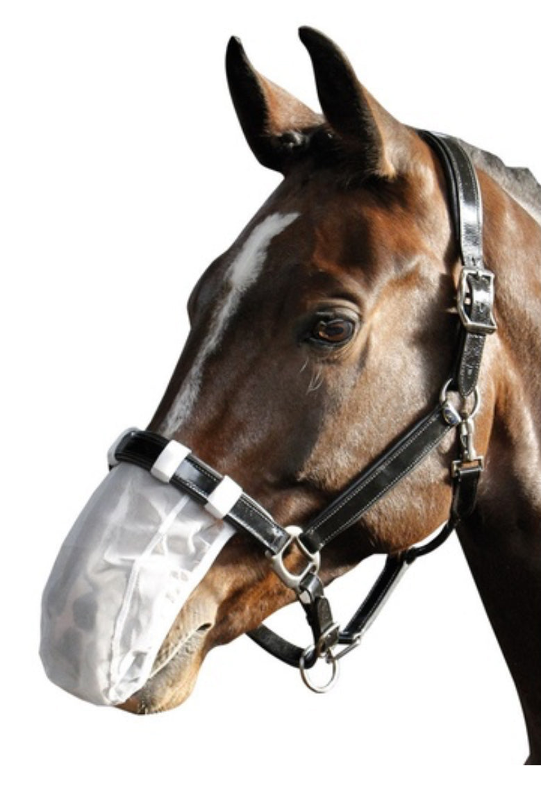 Harry's Horse Mesh Nose Net - White Full