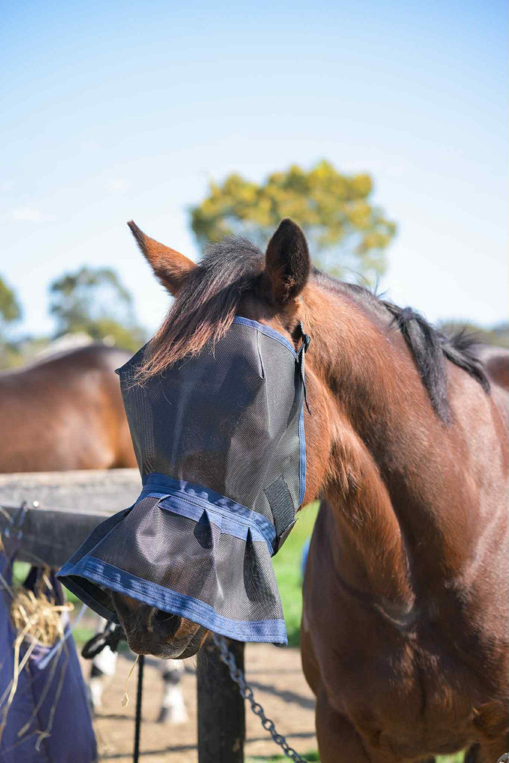 Ecotak Fly Mask/Veil with nose skirt/frill - Navy