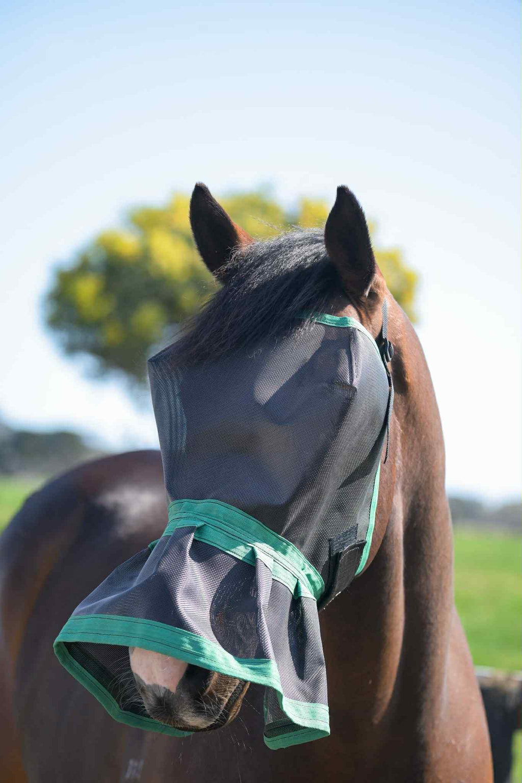 Ecotak Fly Mask/Veil with nose skirt/frill - Emerald Green