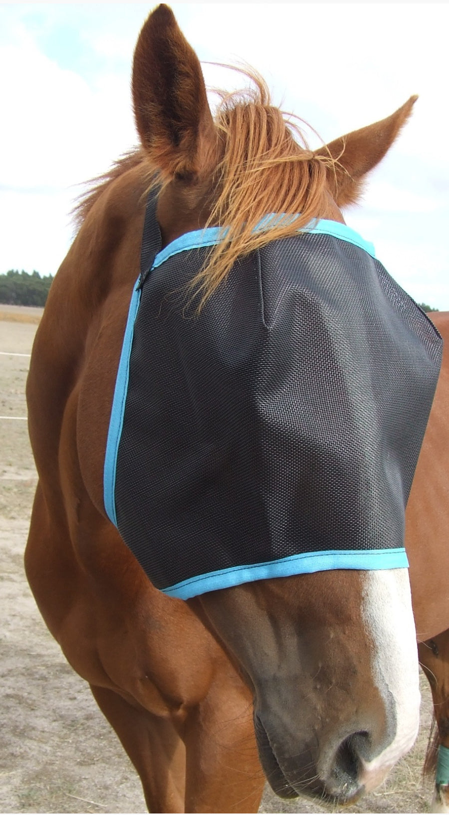 Ecotak Black Fly Mask/Veil with aqua trim
