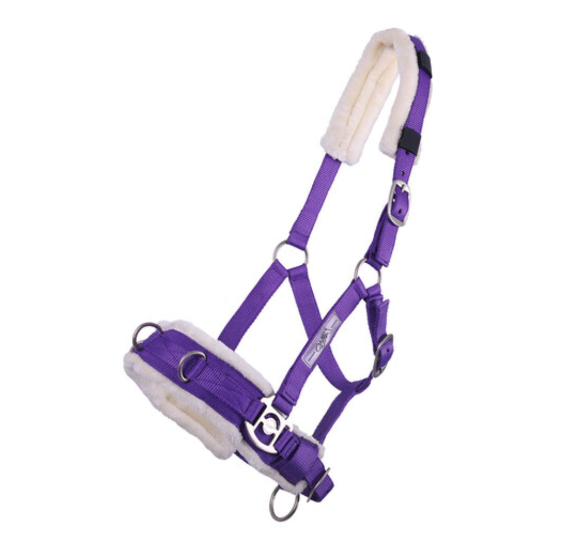 QHP lunge  cavesson Fuchsia Purple