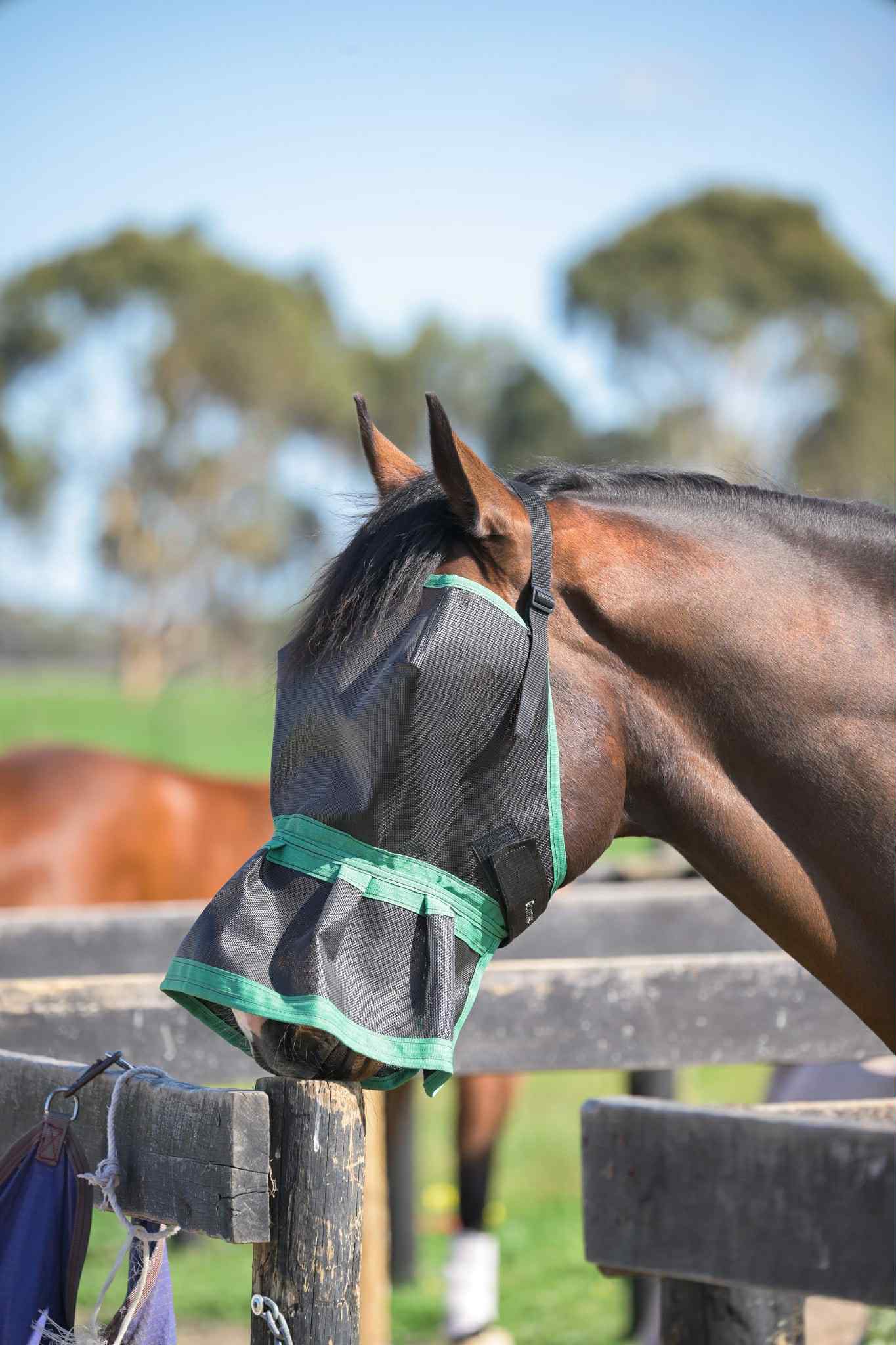 Ecotak Fly Mask/Veil with nose skirt/frill - Emerald Green