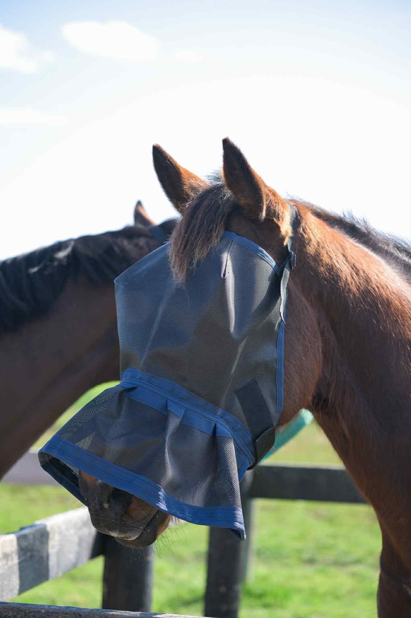 Ecotak Fly Mask/Veil with nose skirt/frill - Navy