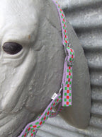 Ecotak purple check halter/headstall