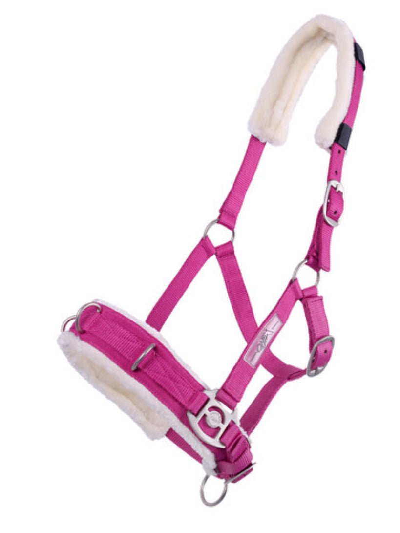 QHP lunge  cavesson Fuchsia Pink