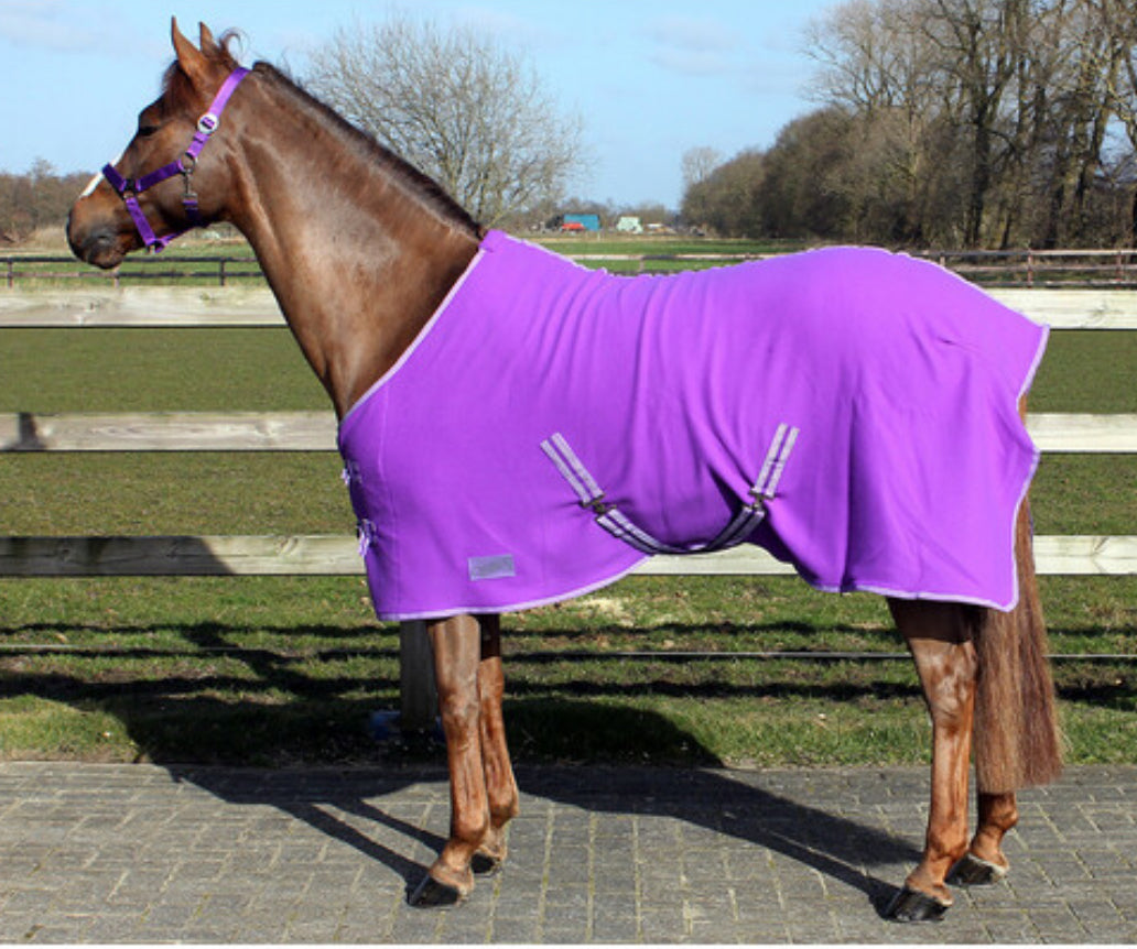 QHP colour fleece rug - Passion flower purpl