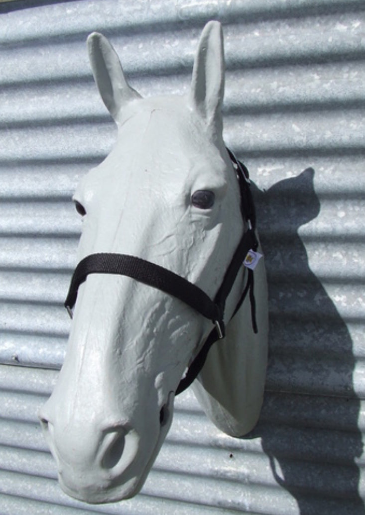 Ecotak black economy halter/headstall full