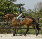 QHP set 4 Eventing technical cross country boots - Large Black