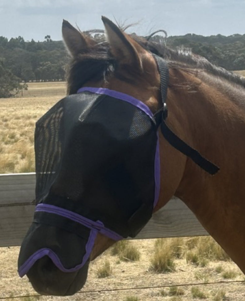 Ecotak Fly Mask/Veil with Contoured Nose Flap - Purple