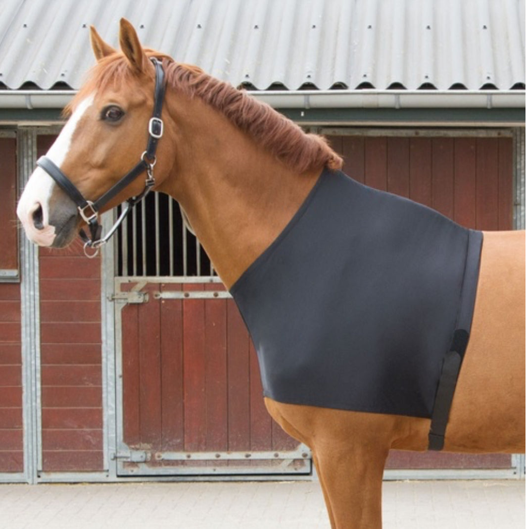 Harry's Horse Lycra Chest Protector Bib - Black