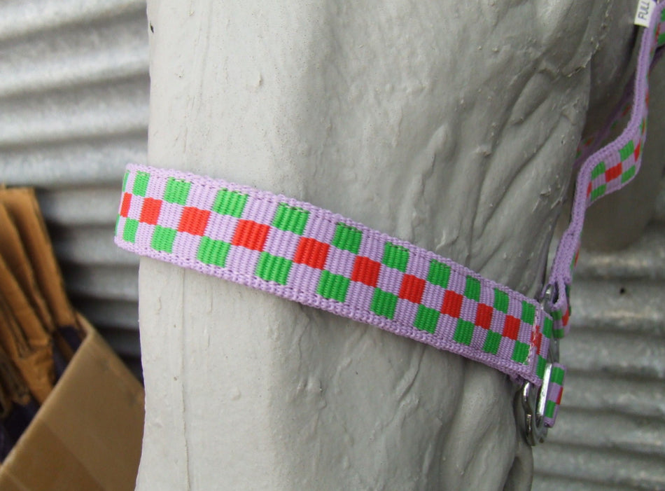 Ecotak purple check halter/headstall