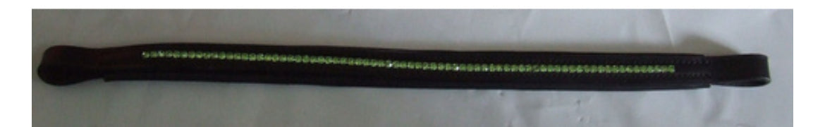 Ecotak black leather browband with pale green diamontes