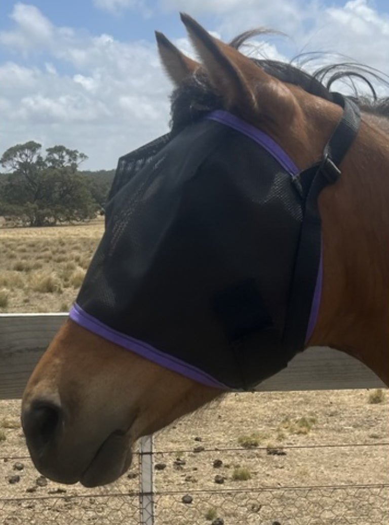 Ecotak fly mask/veil - Purple