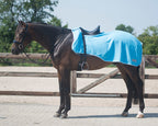Harry’s Horse fleece exercise/quarter sheet - turquoise