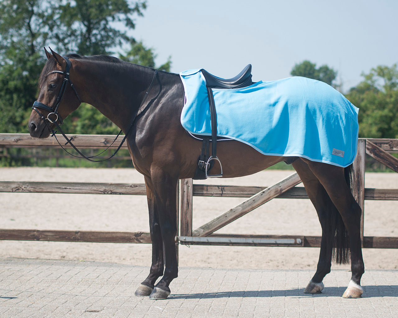 Harry’s Horse fleece exercise/quarter sheet - turquoise
